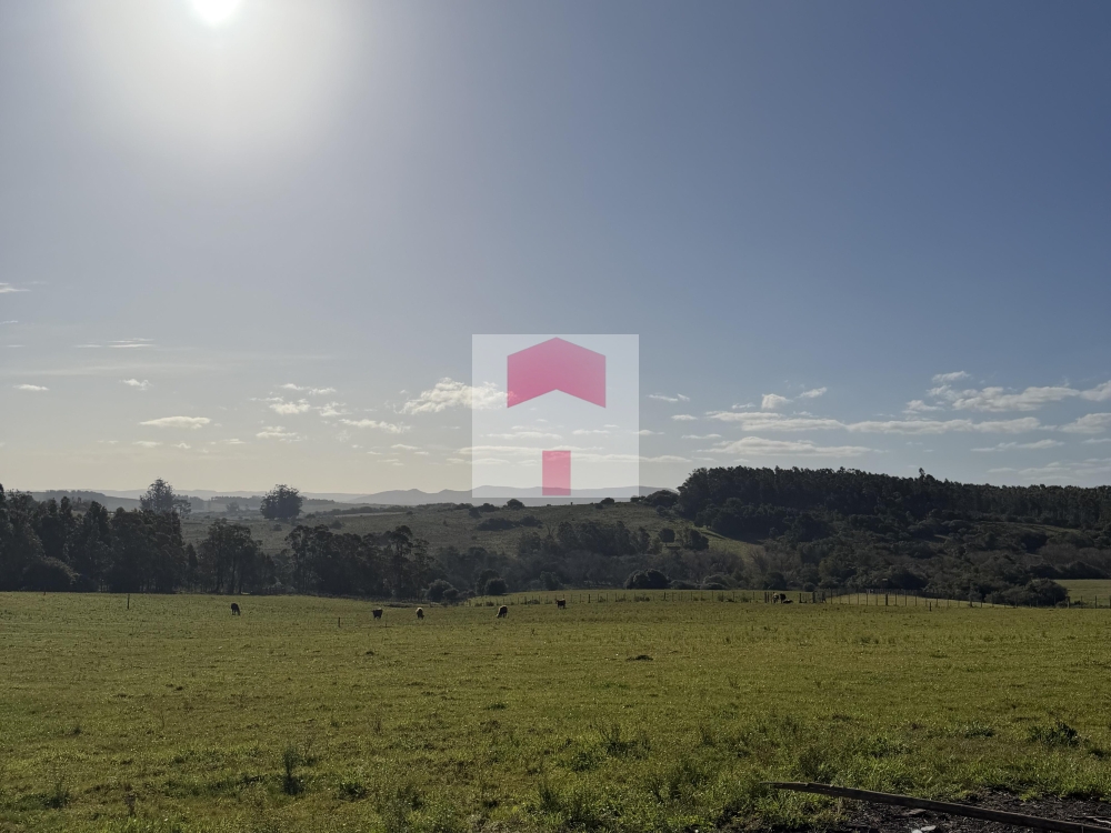 Chacra de 10 has a 5km de la ciudad 